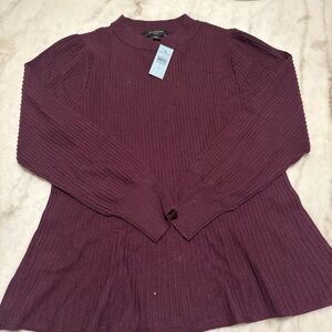 Ann Taylor Burgundy Sweater